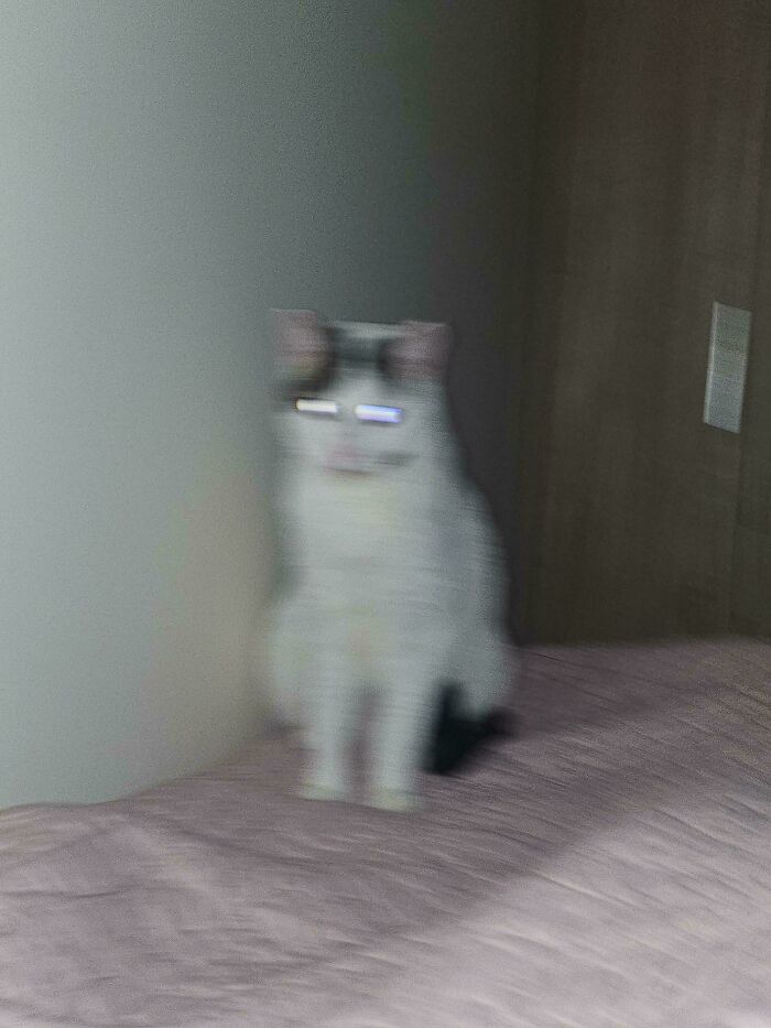 Blurry cryptid cat with glowing eyes sitting on a bed near a wall and a wooden door in a dimly lit room.