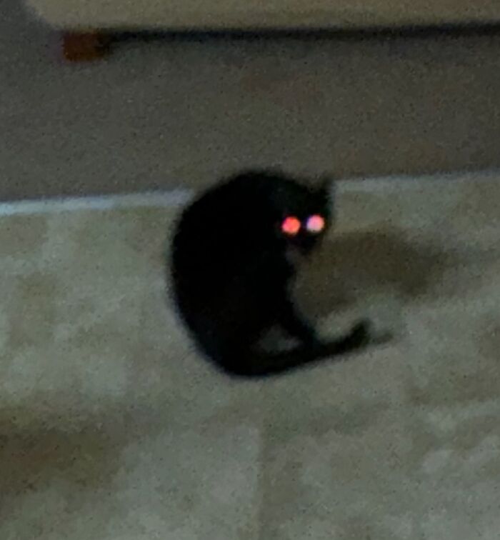 Blurry black cryptid cat with glowing red eyes sitting on a tiled floor in a dimly lit area.