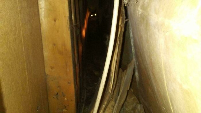 Dimly lit narrow space between wooden walls with glowing eyes of a mysterious cryptid cat peering from the darkness.