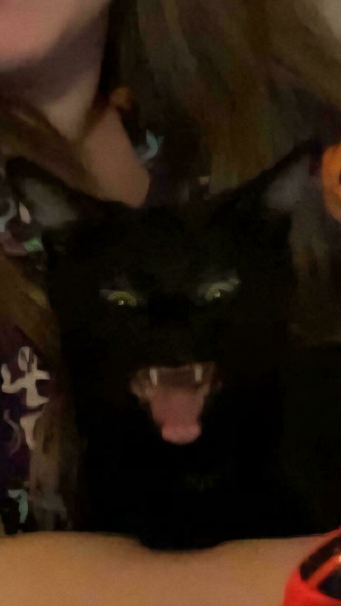 Black cryptid cat with glowing eyes and open mouth showing teeth, appearing fierce and mysterious indoors.