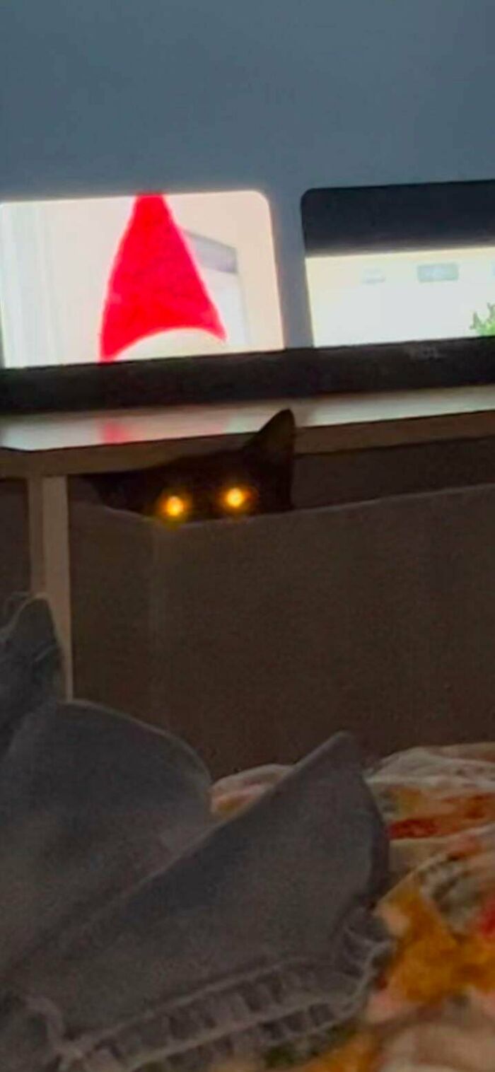 Black cryptid cat with glowing yellow eyes peeking from behind a couch in a dimly lit room.