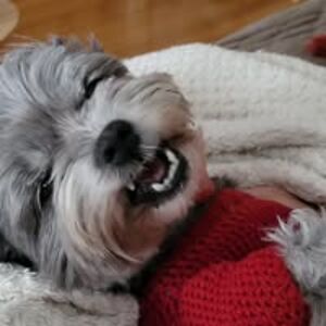 felicity_brown avatar