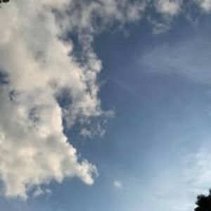 kirkbridget19 avatar