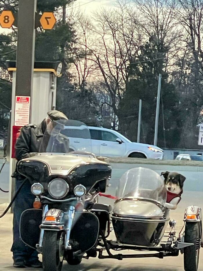 Man at a gas station refueling a motorcycle with a sidecar carrying a dog, capturing a holiday moment so sweet it could melt hearts.