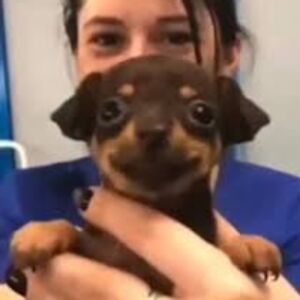 alechunnicutt avatar