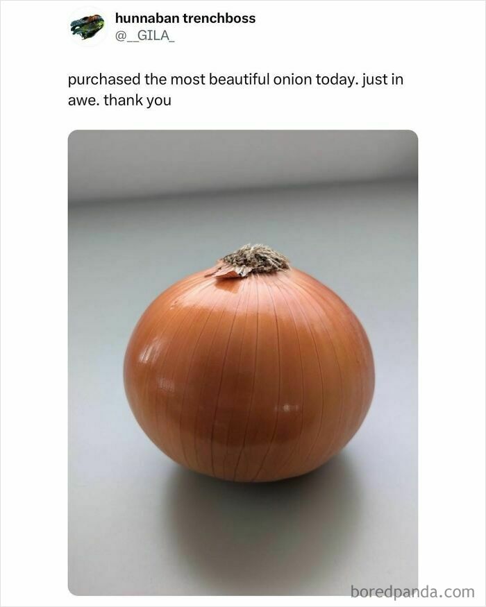Fresh whole onion on a plain surface as part of hilarious food memes to laugh at while waiting for dinner.