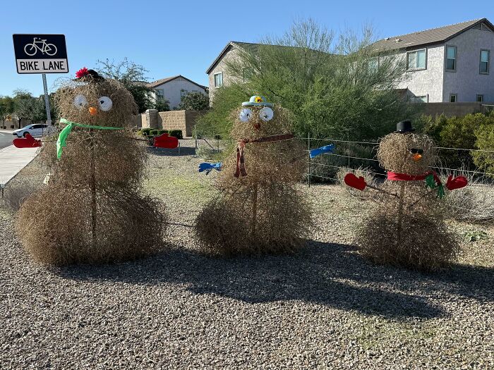 Three tumbleweed snowmen decorated with holiday accessories in a suburban yard, capturing sweet holiday moments.