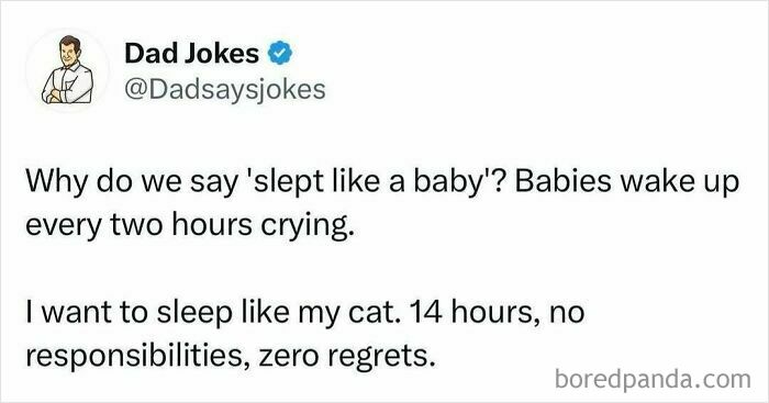 Tweet from Dad Jokes account sharing a funny dad joke about sleeping like a baby versus a cat, highlighting humor in dad jokes.