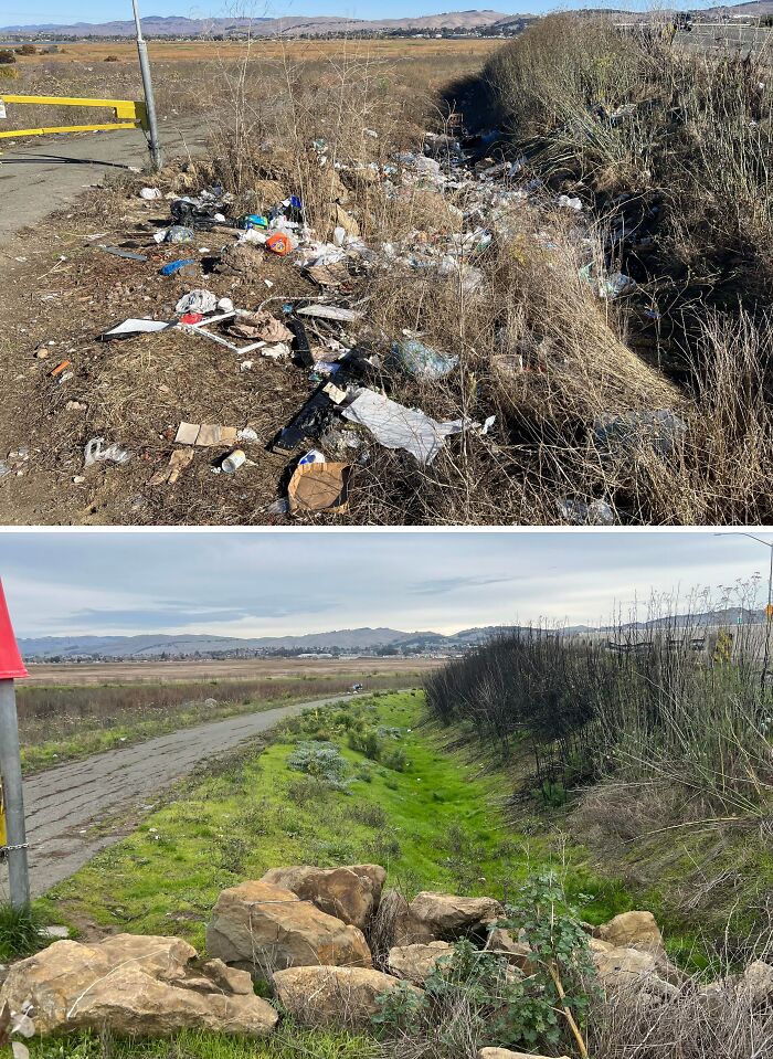 Before and after images showing a holiday moment of a natural area cleaned from litter to melt even the Grinchiest heart.