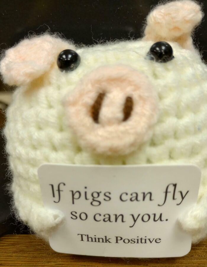 Crocheted pig holding a sign with an ironic positive message, example of hilariously bad Secret Santa gifts received.