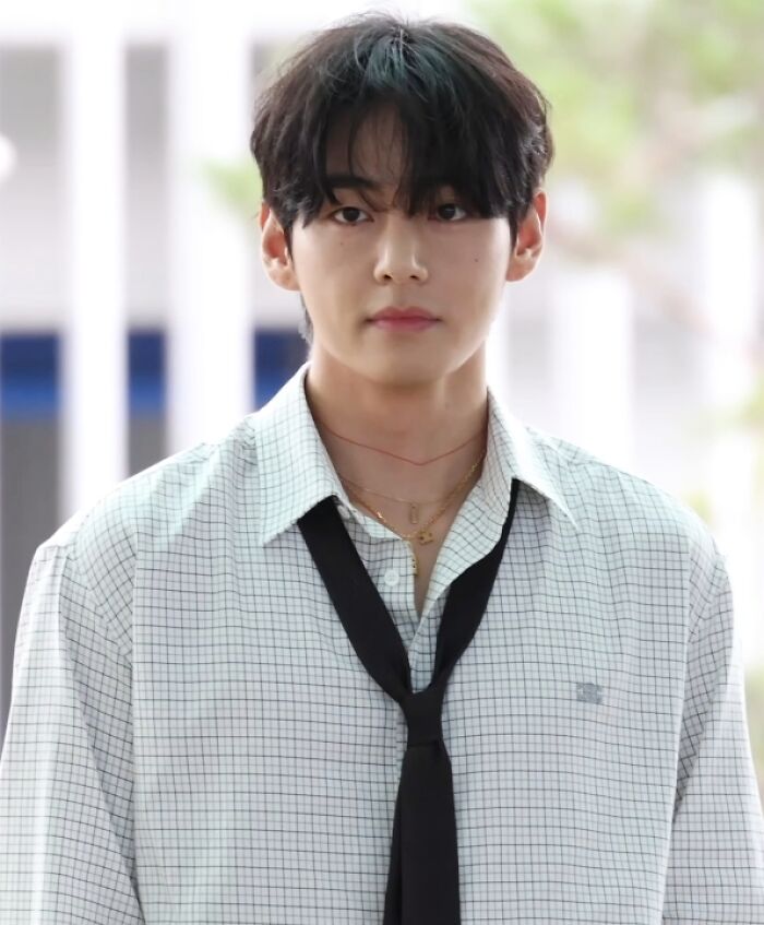 Young man with dark hair wearing a checkered shirt and black tie, representing V bio and career highlights.