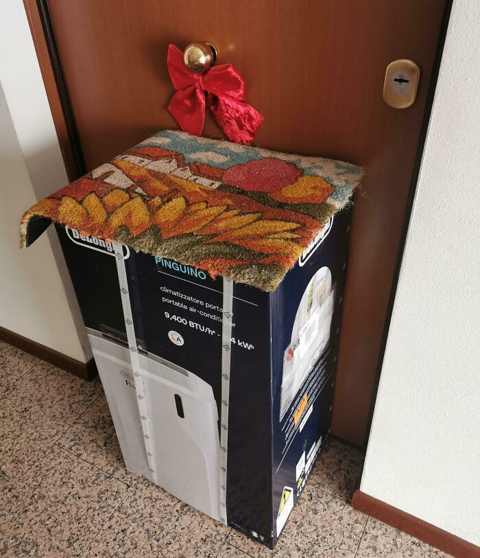 Humorous delivery box setup with rug roof and door decoration, showcasing funny pictures from 2025 capturing last year's weirdness.