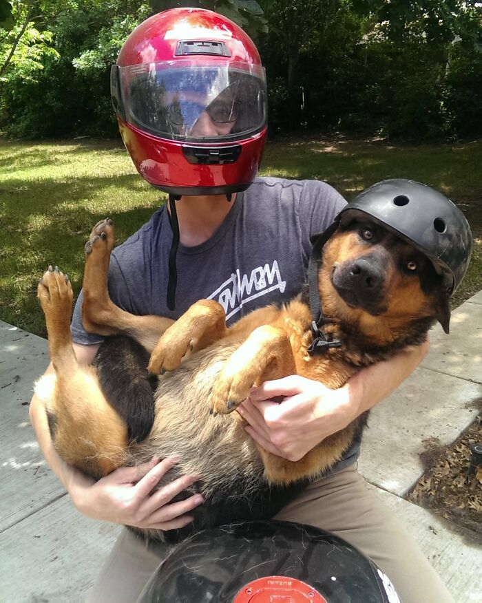Person wearing a red helmet holding a dog with a black helmet, showing fun moments with siblings outdoors.
