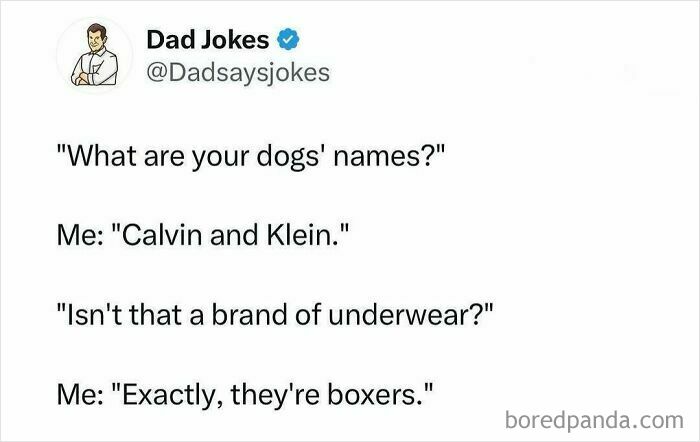 Dad joke tweet about dogs named Calvin and Klein with a pun on underwear brand and boxer dogs.