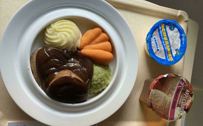 Meal tray with creatively shaped mashed vegetables and packaged apple juice and vanilla pudding, showcasing impressive country meal presentation.