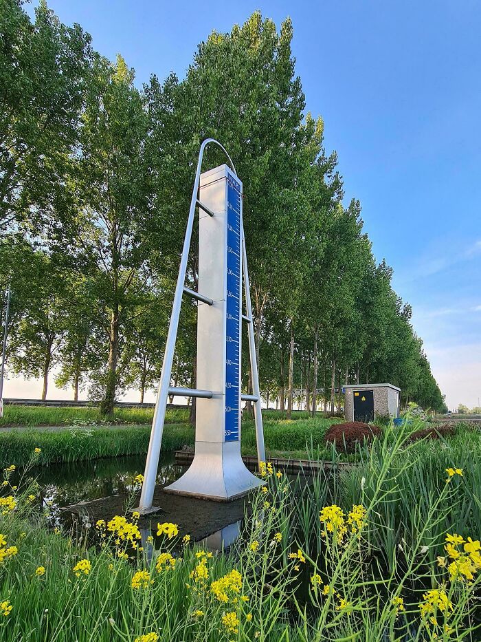 Unique water level gauge implemented in a country, surrounded by greenery and yellow flowers in an outdoor setting.