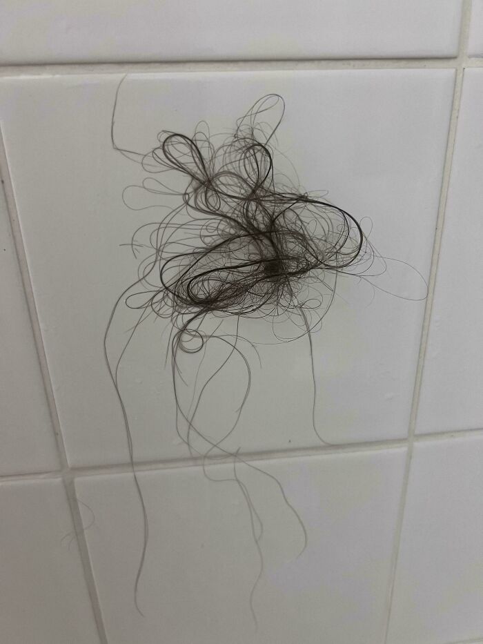 A close-up of tangled strands of hair stuck on white bathroom tiles relating to men share things they learned about women.