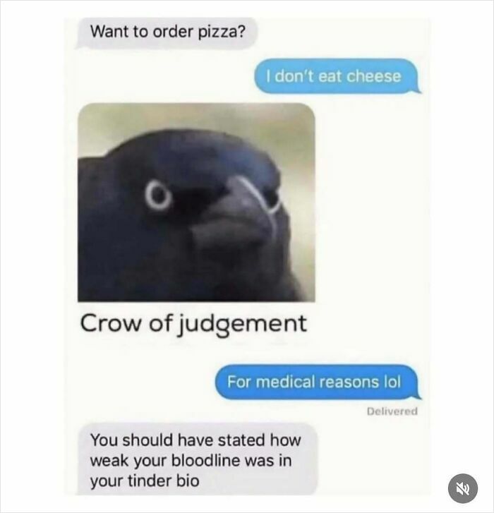 Text meme showing a crow called Crow of Judgement reacting to a funny chat about ordering pizza, humor in reality.