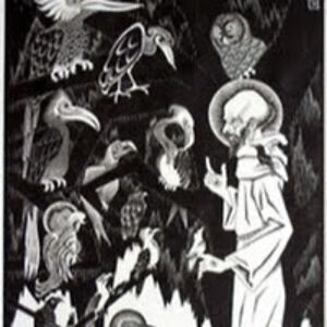 williambrandon avatar