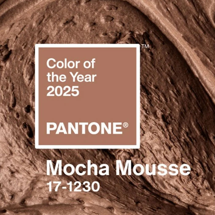 Pantone’s 2025 Color of the Year Mocha Mousse sparks online debate over race and representation.
