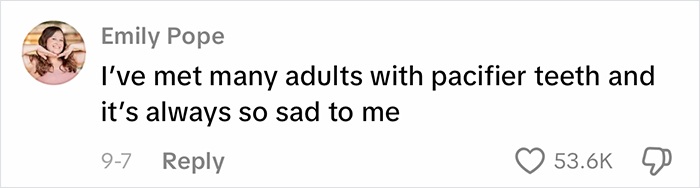 Comment on viral homeschool clip discussing pacifier teeth, sparking debates about parenting choices and child development concerns.