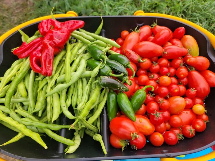 Basket filled with fresh garden vegetables including tomatoes, peppers, and green beans for mother-in-law gift ideas.