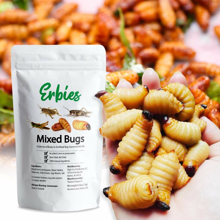 Package of mixed bugs snack held next to hand of edible grubs, a wacky food gift for snack-obsessed friends.