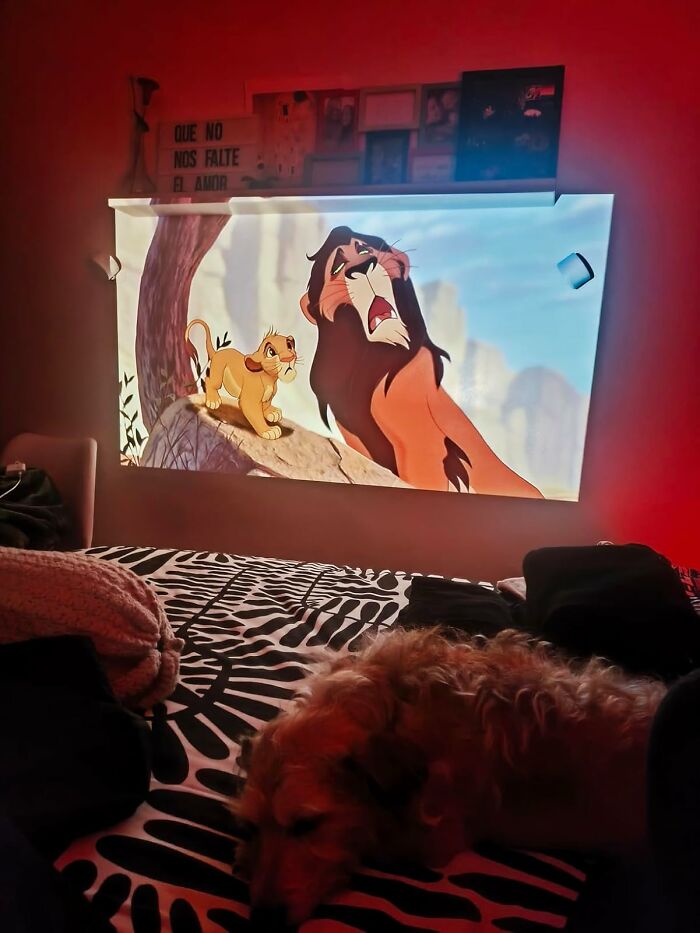 A Movie Projector Will Make Your Living Room Feel Less Like The Place You Watch TV And More Like A Private, Exclusive Cinema Where Pants Are Optional