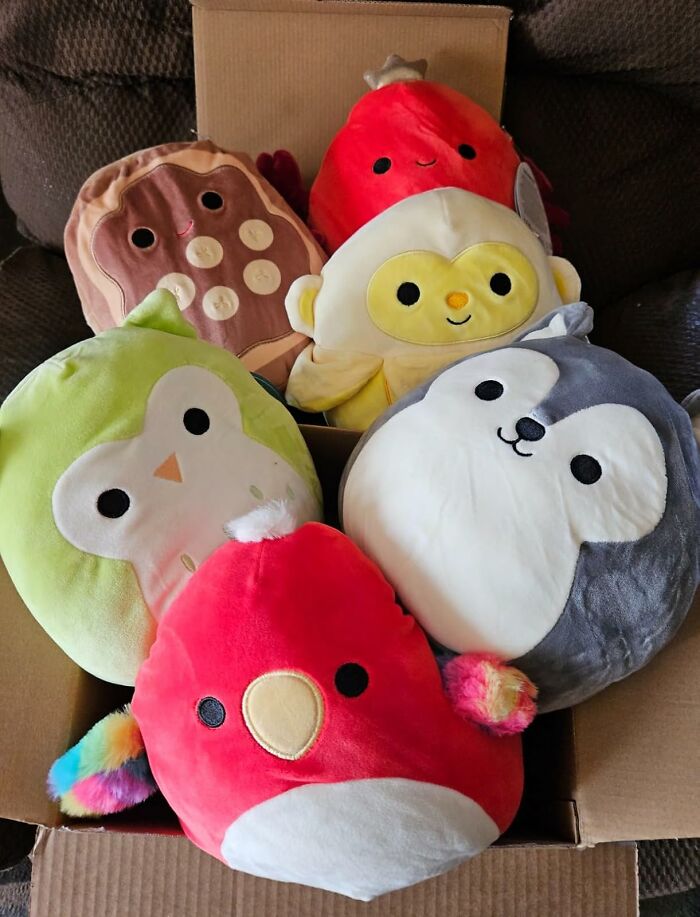 Plush toys inside a cardboard box, part of blind boxes that add excitement to Christmas morning gift surprises.