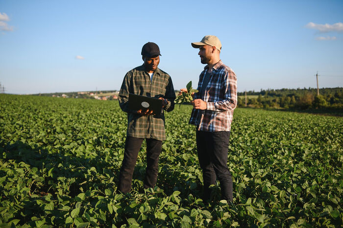 Two workers in a green field discussing plants, depicting infuriating examples of we’ve always done it this way at work.