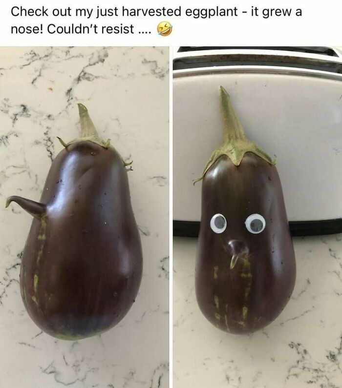 Eggplant with a nose-like protrusion and googly eyes, a funny random pic that makes you laugh unexpectedly.