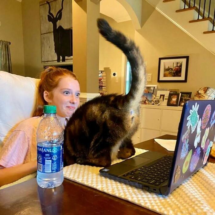Girl making a funny face as a cat blocks her laptop screen in a random pic that makes you laugh before you know why.
