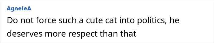 Comment stating that a cute cat should not be forced into politics and deserves more respect. Comment stating that a cute cat should not be forced into politics and deserves more respect.