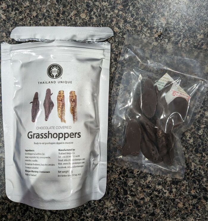 Chocolate covered grasshoppers packaged as a wacky food gift for snack-obsessed friends on a granite countertop.