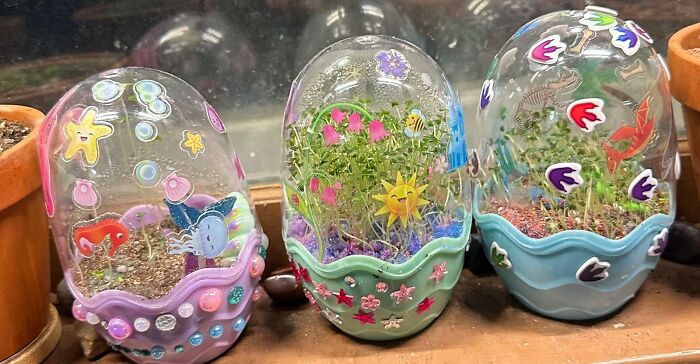 Their Green Thumb And Their Love Of Mythical, Horned Creatures Can Finally Be Combined In One Glorious, Sparkly, And Self-Contained Ecosystem With A Unicorn Terrarium 