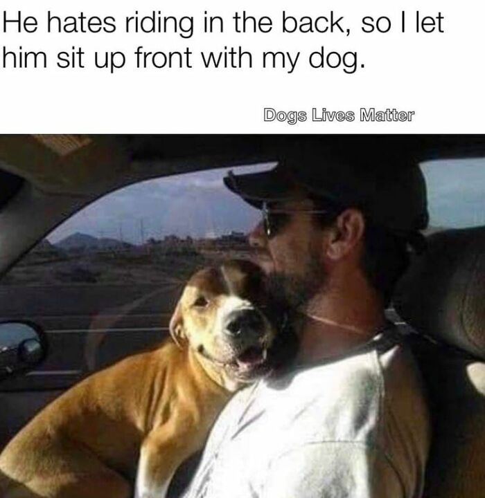 Man wearing sunglasses with his dog sitting on his lap in the front seat, cute dogs posts showing their bond.