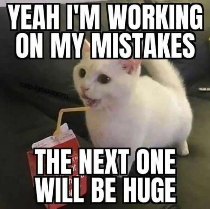 White cat drinking from a juice box with funny caption about working on mistakes, cute and sweet animal memes.