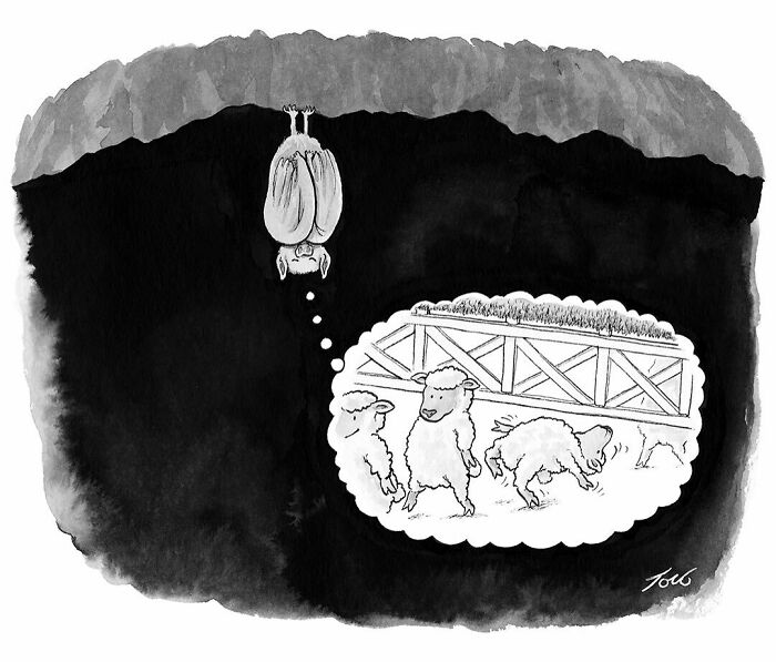 One-panel comic by Tom Toro showing a bat imagining sheep inside a fenced enclosure at night.