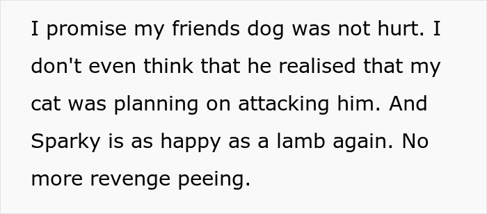 Text about woman upset over getting a dog due to her old cat, explaining pet behavior and concerns. Text about woman upset over getting a dog due to her old cat, explaining pet behavior and concerns.