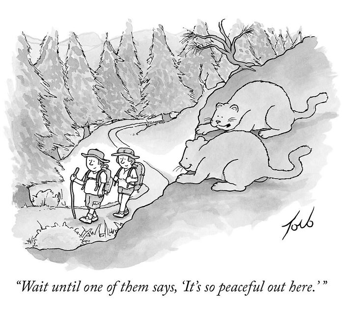 Witty one-panel comic by New Yorker cartoonist Tom Toro showing hikers watched by two bears in a forest.