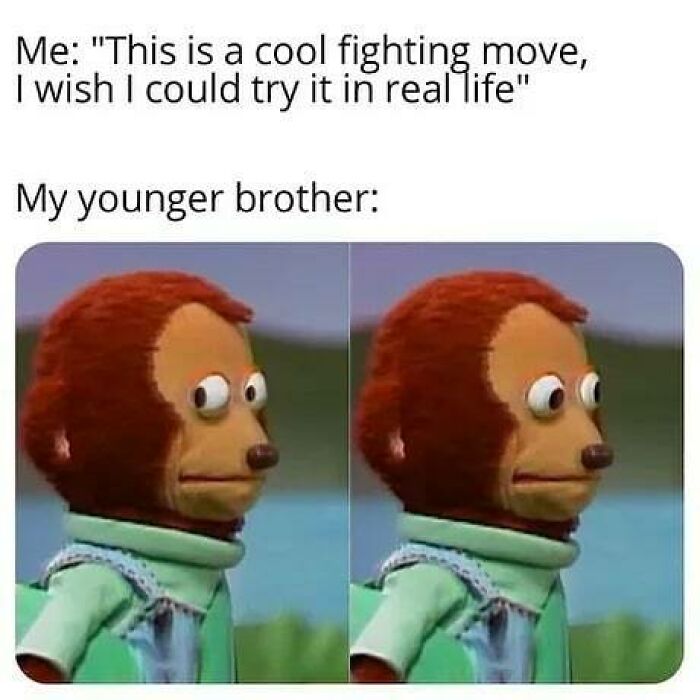 Funny sibling meme showing a puppet looking awkward, capturing the humor of having siblings perfectly.