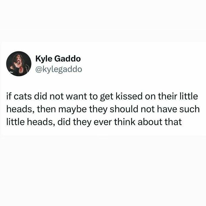 Tweet about cats being weird little guys with small heads that get kissed, reflecting humorous cat memes.
