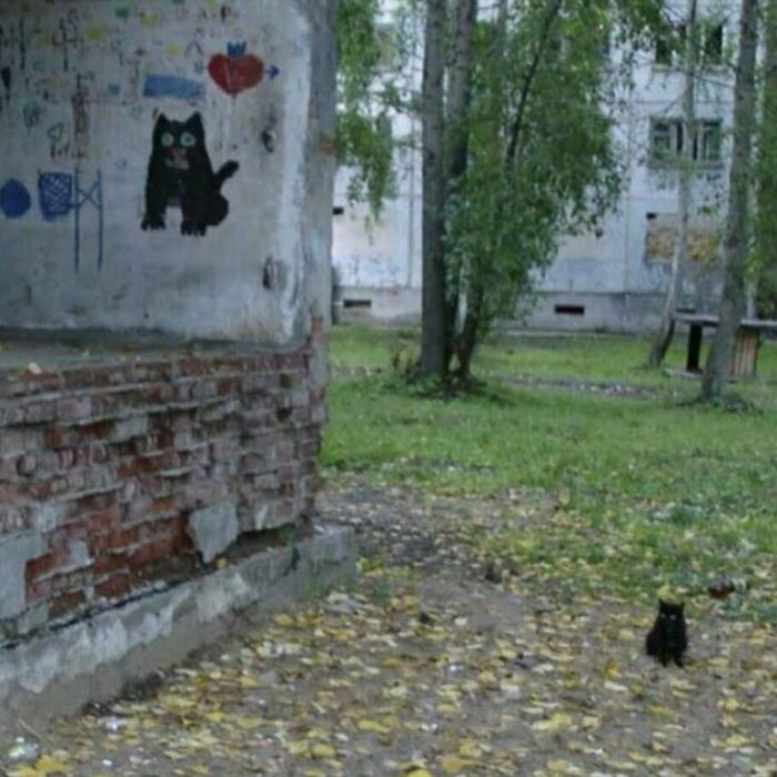 Black cat sitting on a leafy ground near a wall with a painted cat, showcasing cats being weird little guys outdoors.