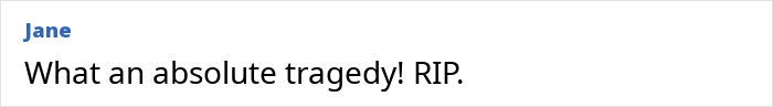Comment by user Jane expressing shock and sadness over Rob Reiner’s son arrested for allegedly slaying parents incident. Comment by user Jane expressing shock and sadness over Rob Reiner’s son arrested for allegedly slaying parents incident.