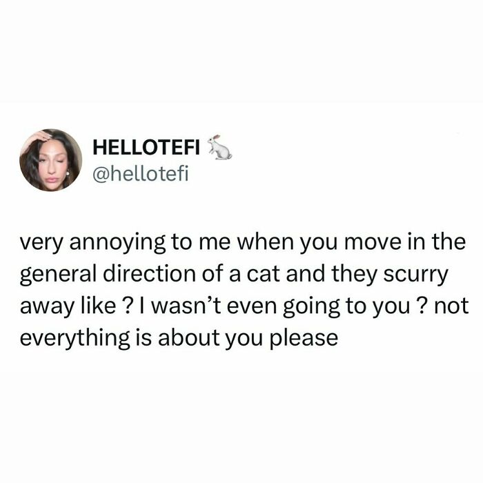 Screenshot of a funny meme about cats being weird little guys who scurry away when approached unexpectedly.