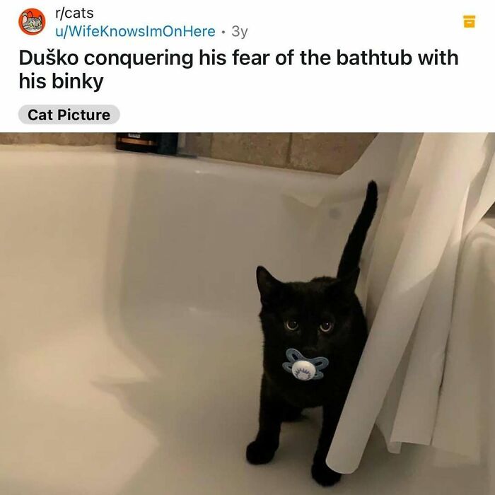 Black cat in bathtub holding a binky in its mouth, showcasing weird little guys behavior in cats memes.