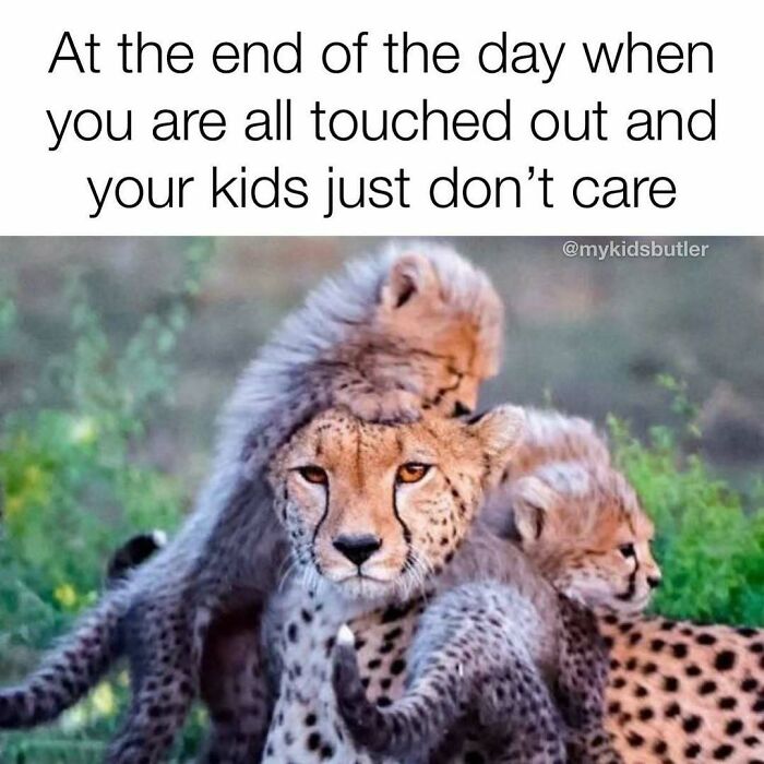 Funny and savage parenting meme showing a tired cheetah parent with clingy cheetah cubs symbolizing overwhelmed parenting moments.