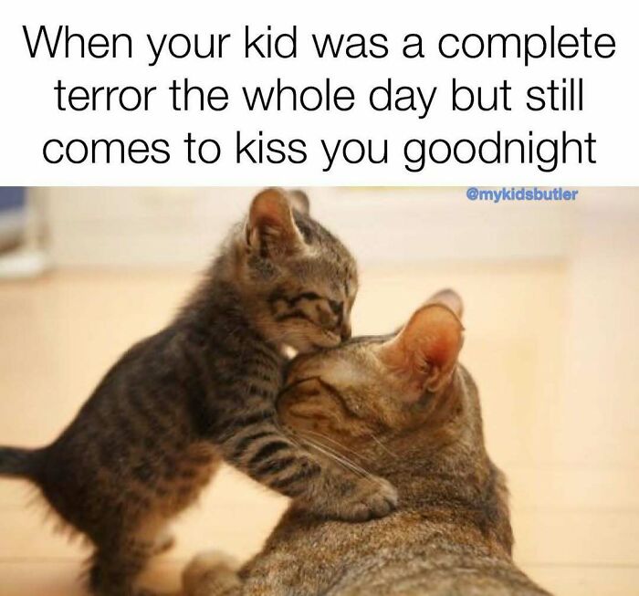 Funny and savage parenting meme showing a kitten affectionately kissing a larger cat despite a tough day behavior.