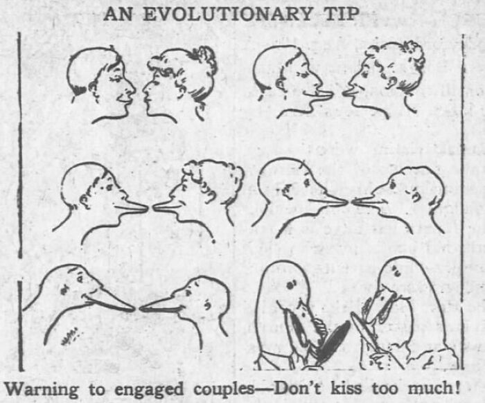 Vintage newspaper clipping cartoon showing evolution of kissing couples from humans to ducks, humorous and relatable.