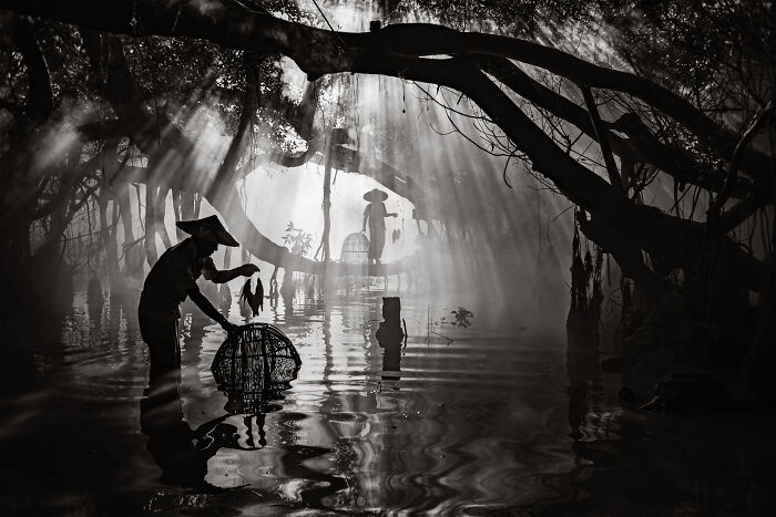 Steve Mccurry Juror Of All About Photo Awards 2026!